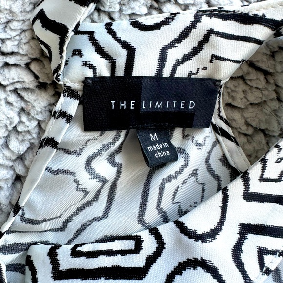 The Limited Top - Picture 3 of 3